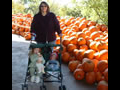 The Great Wall of Pumpkins